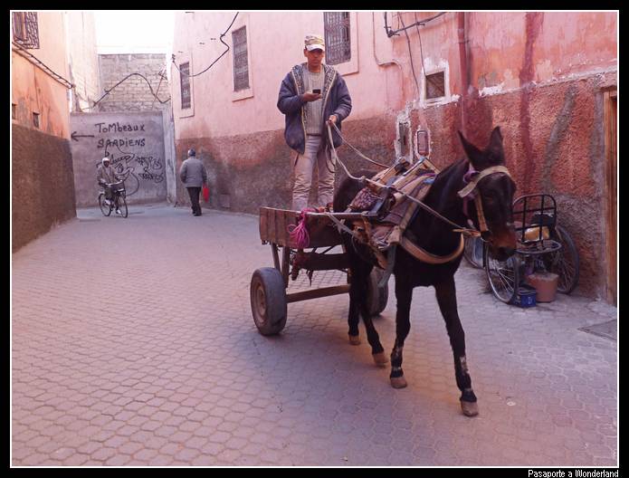 Zoco Marrakech